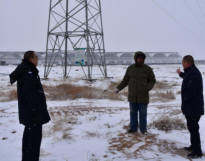 二連浩特供電公司：開展客戶側(cè)安全檢查，確?？诎犊蛻粝楹兔髁吝^春節(jié)