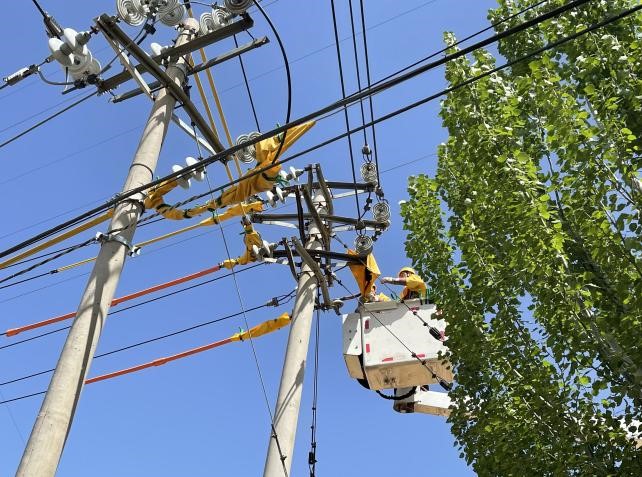 帶電作業(yè)除隱患，安全供電有保障